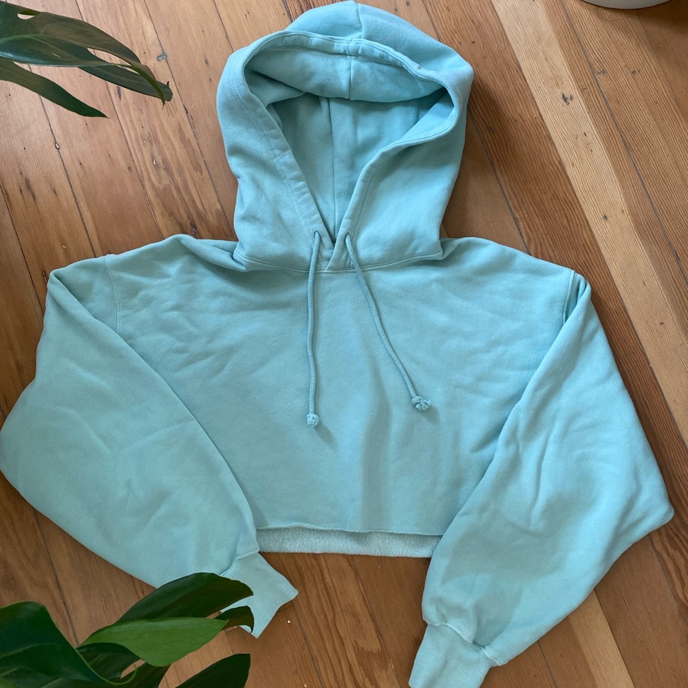 TNA by Aritzia Cropped Hoodie